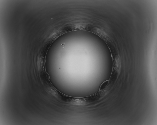 X0000086720522200704131047