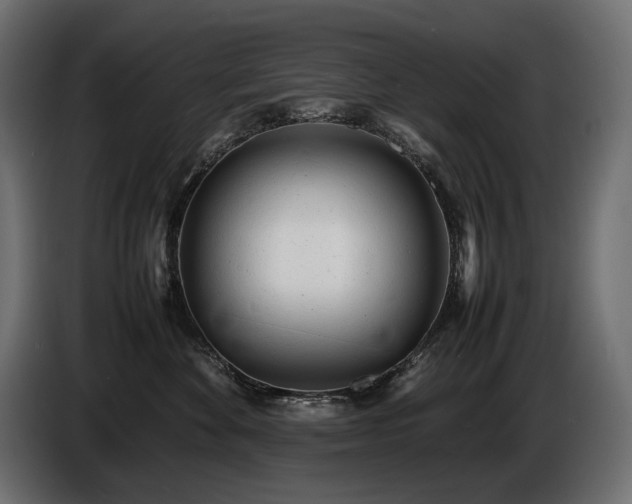 X0000086720524200704131047