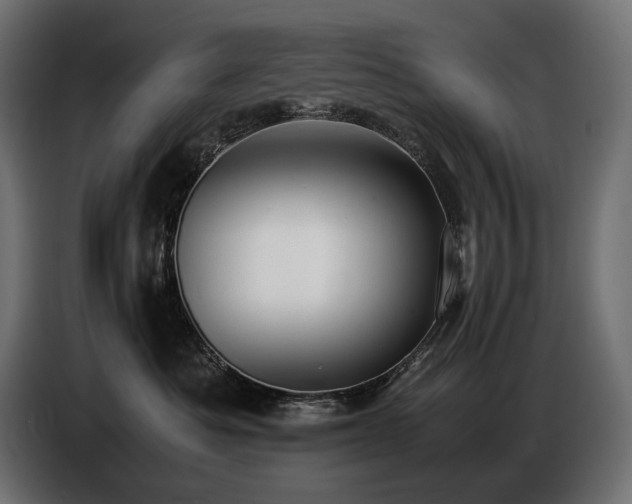 X0000086720525200704131047