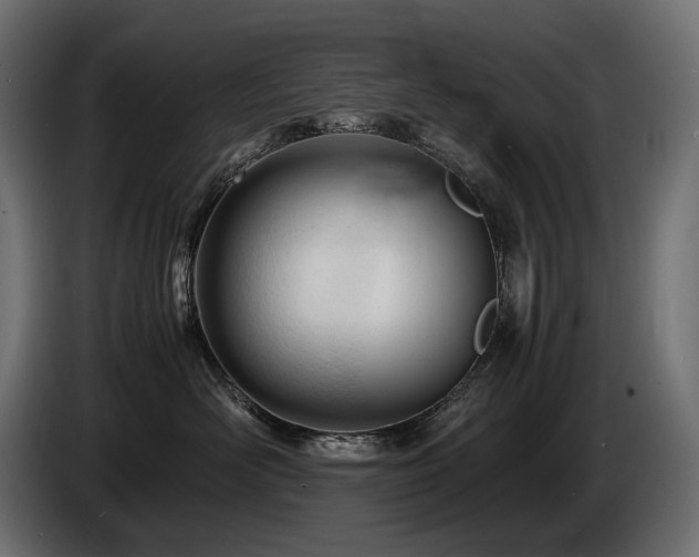 X0000086720526200704131047