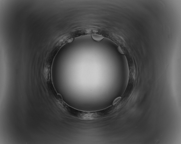 X0000086720527200704131047