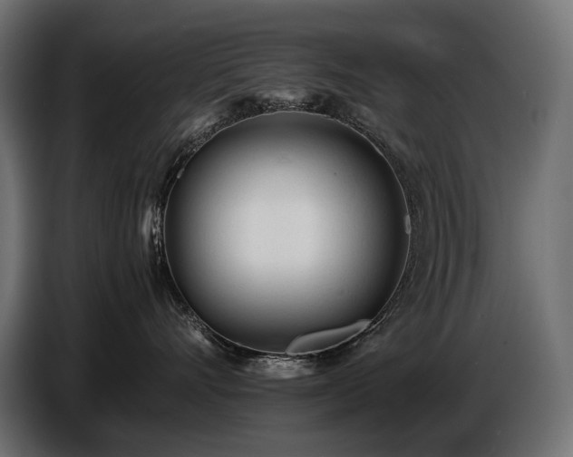 X0000086720528200704131047