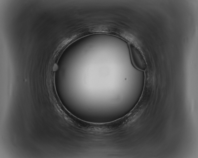 X0000086720529200704131046