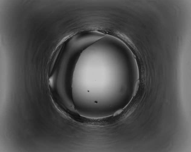 X0000086720530200704131046