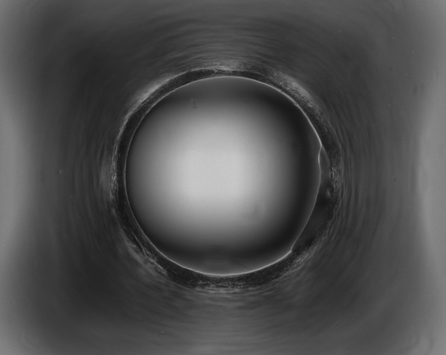 X0000086720532200704131046