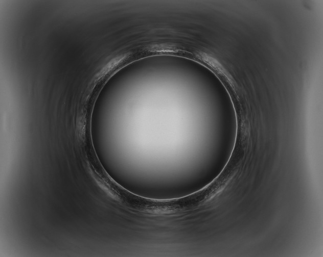 X0000086720533200704131046