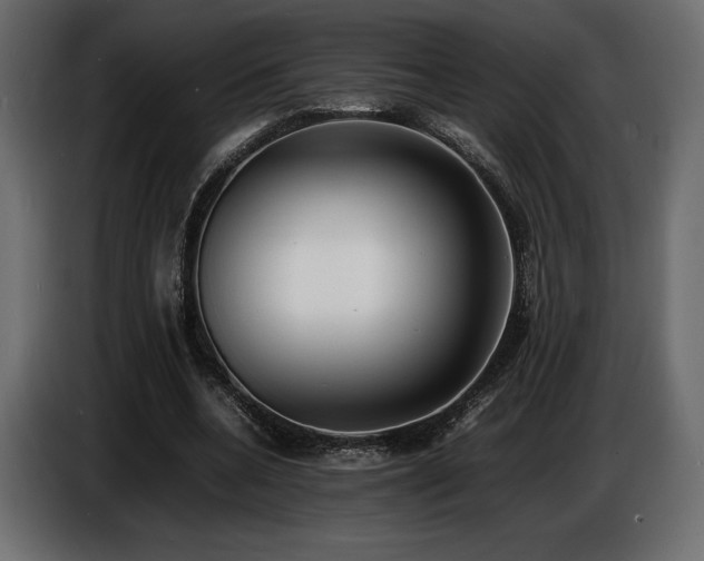 X0000086720536200704131046