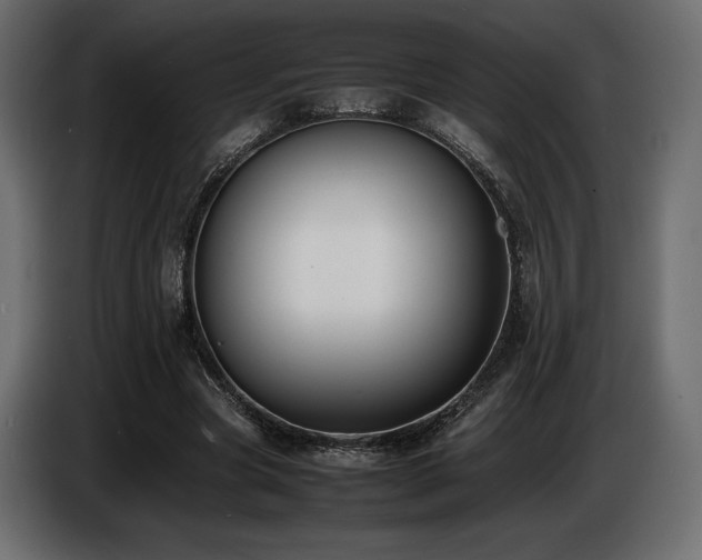 X0000086720537200704131046