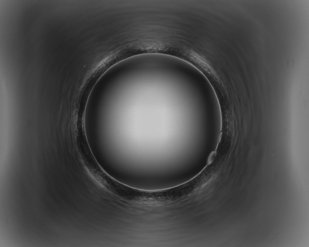 X0000086720538200704131046