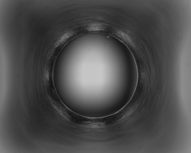 X0000086720539200704131046