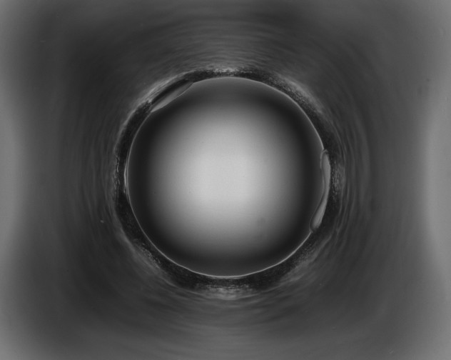 X0000086720540200704131046