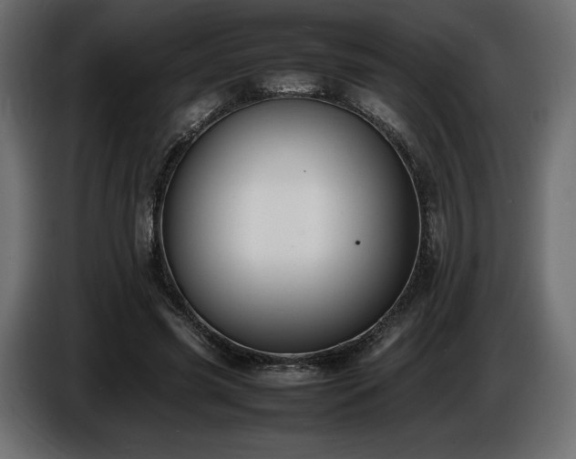 X0000086720541200704131046