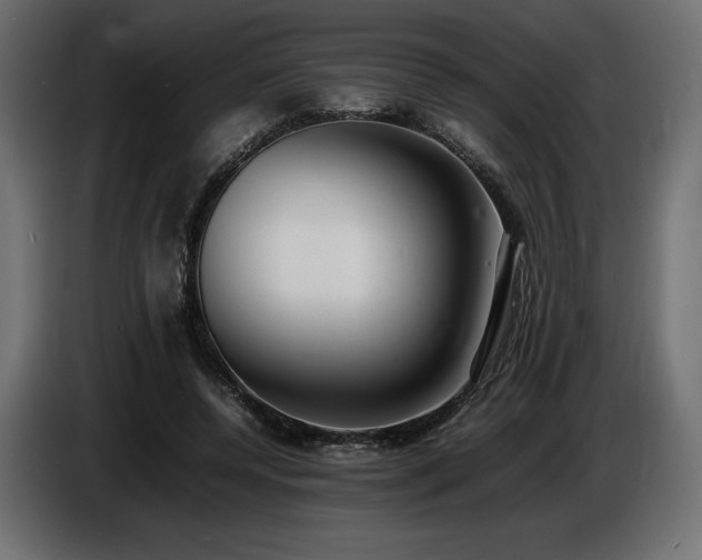 X0000086720544200704131047