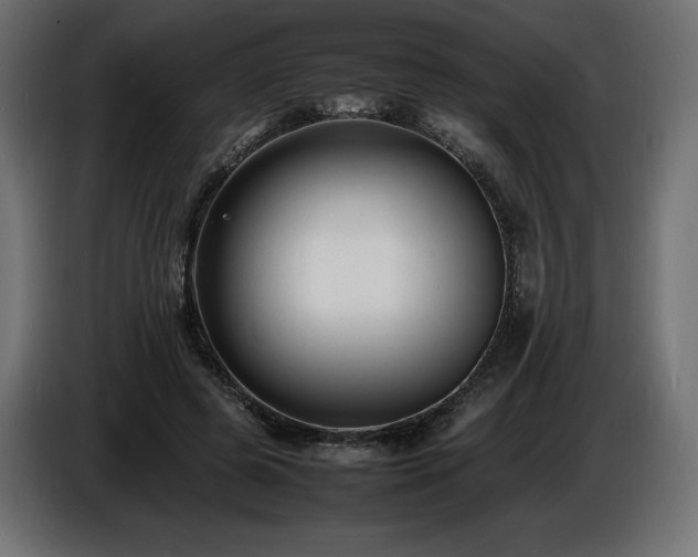 X0000086720545200704131047