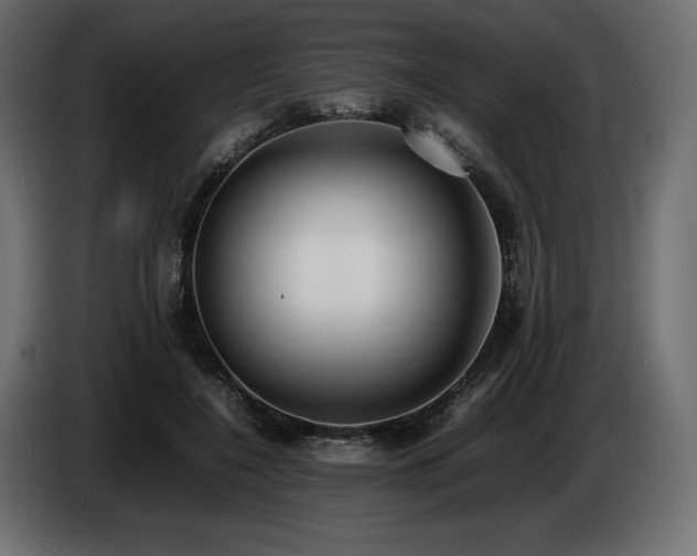 X0000086720548200704131047
