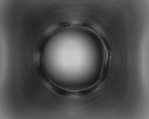 X0000086720550200704131047