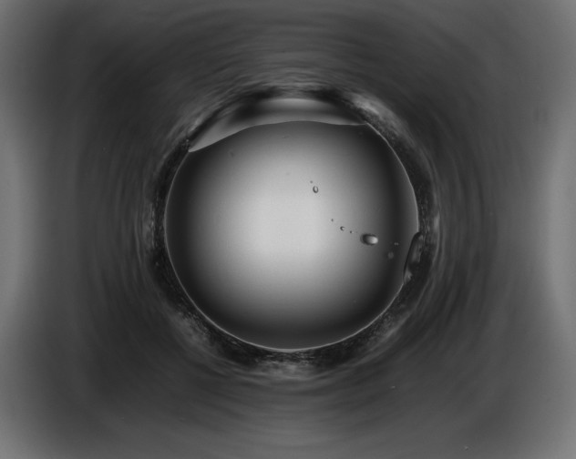 X0000086720552200704131047