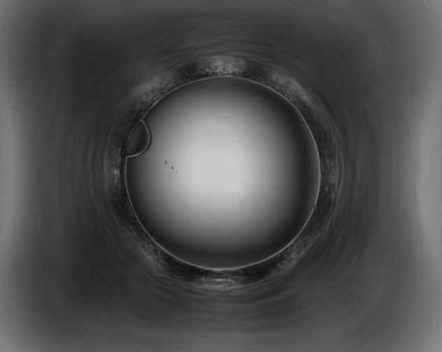 X0000086720553200704131047
