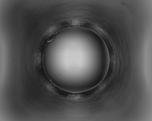 X0000086720554200704131047