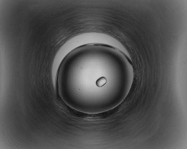 X0000086720556200704131047