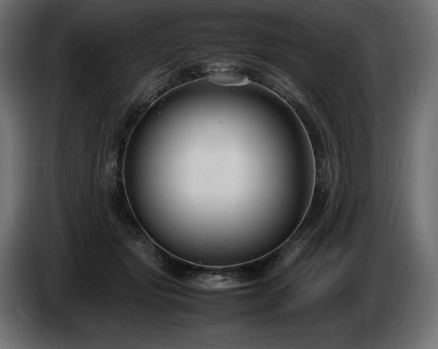 X0000086720557200704131047