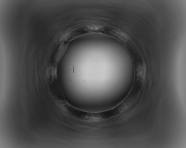 X0000086720559200704131047