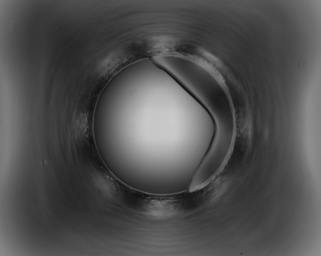 X0000086720560200704131047