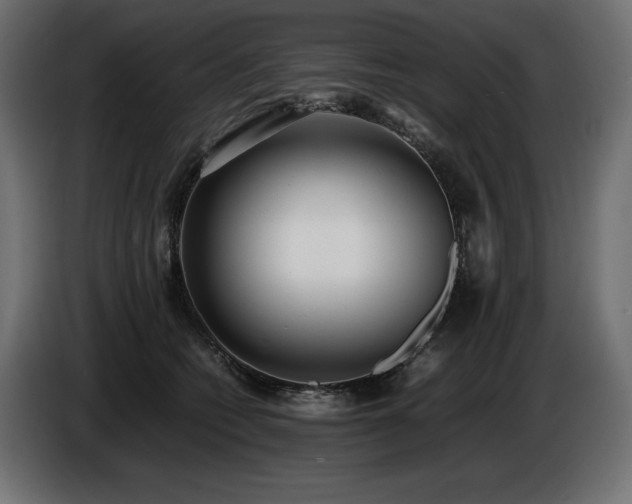 X0000086720562200704131047