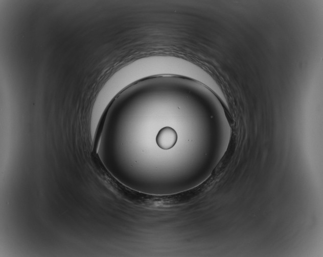 X0000086720564200704131047