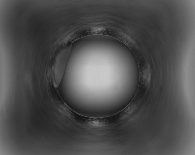 X0000086720565200704131047