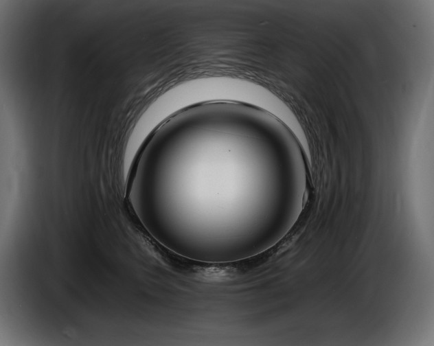 X0000086720566200704131047