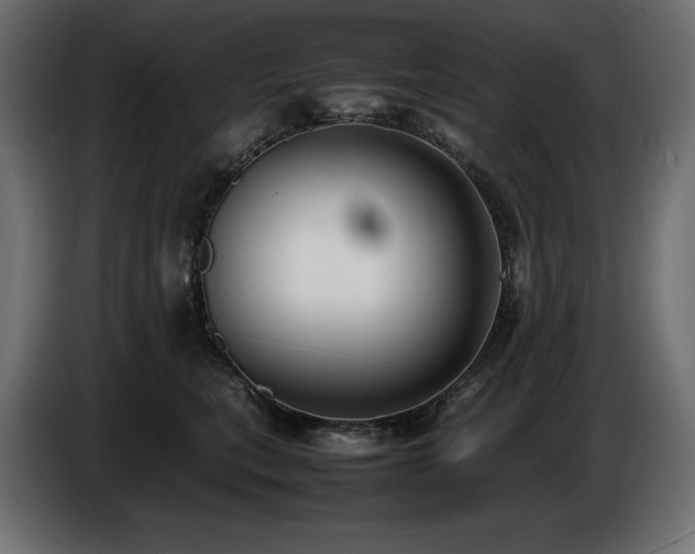 X0000086720567200704131047