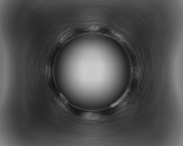 X0000086720568200704131047