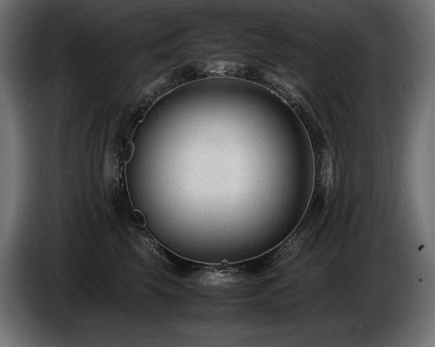 X0000086720569200704131047