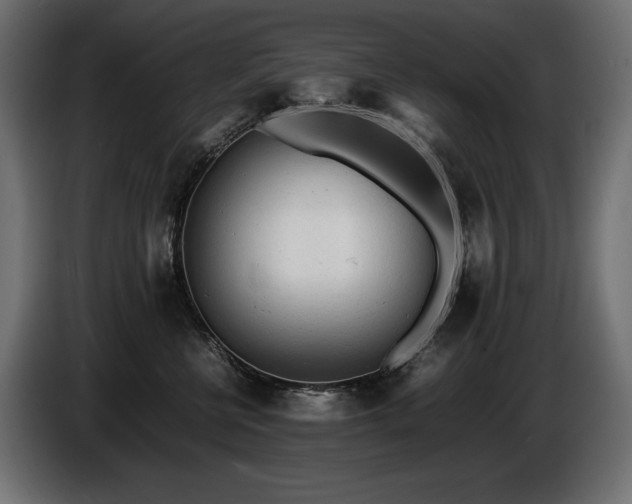 X0000086720570200704131047