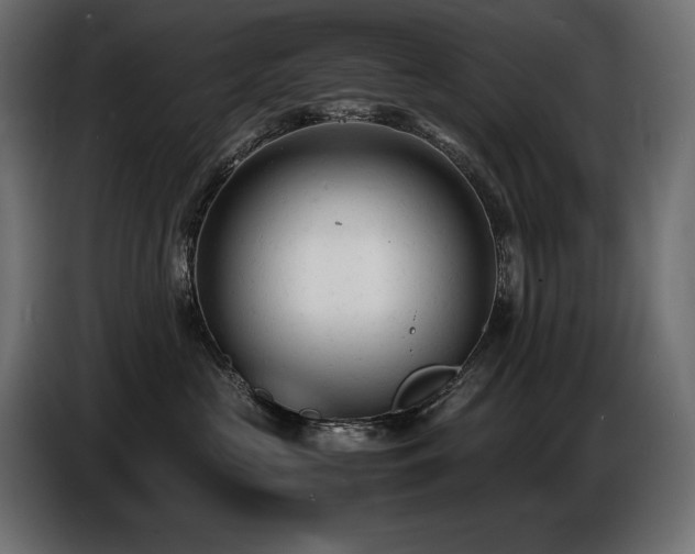 X0000086720573200704131047
