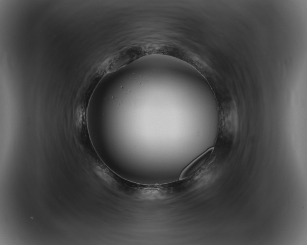 X0000086720574200704131047