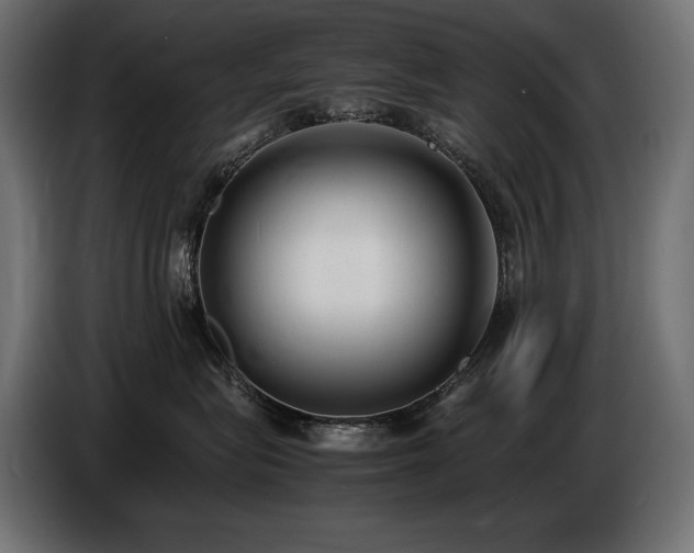 X0000086720575200704131047