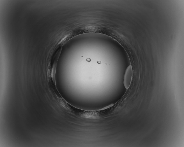 X0000086720576200704131047