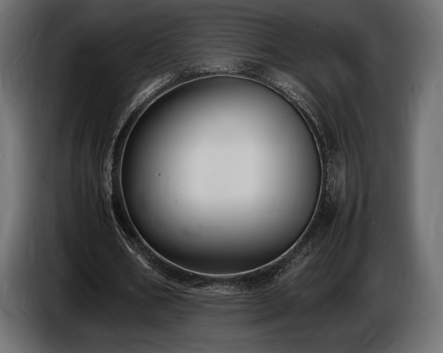 X0000086720578200704131046