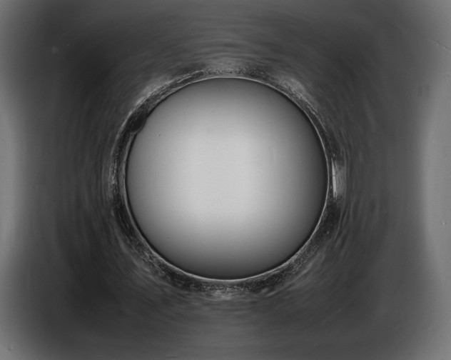 X0000086720579200704131046