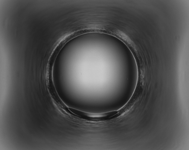 X0000086720580200704131046