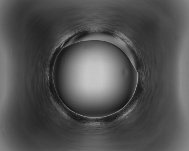 X0000086720581200704131046