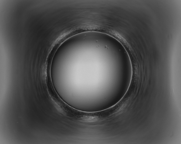 X0000086720582200704131046