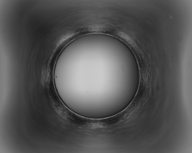 X0000086720583200704131046