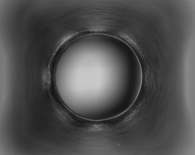 X0000086720584200704131046