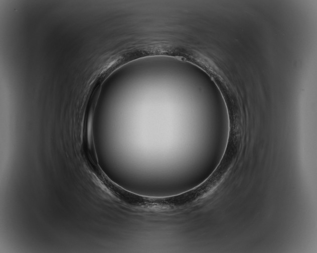 X0000086720585200704131046