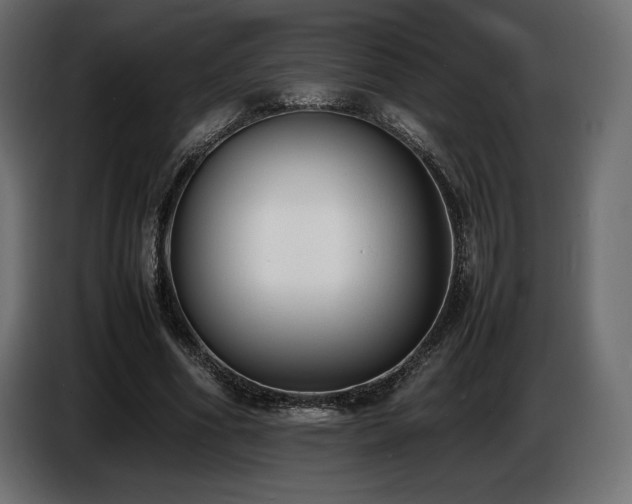 X0000086720586200704131046