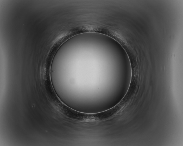 X0000086720587200704131046