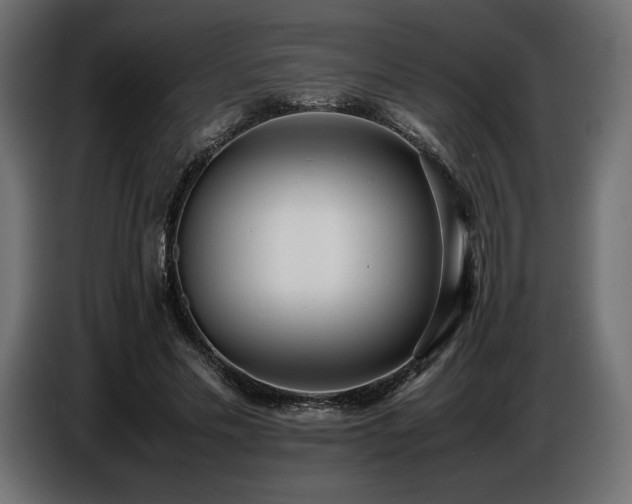X0000086720589200704131046
